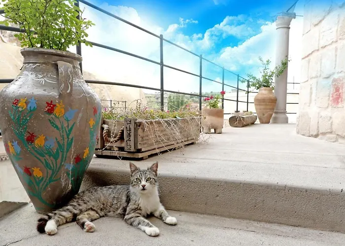 Nox Cave Special Class Отель Ургуп